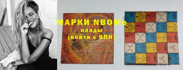стафф Алзамай